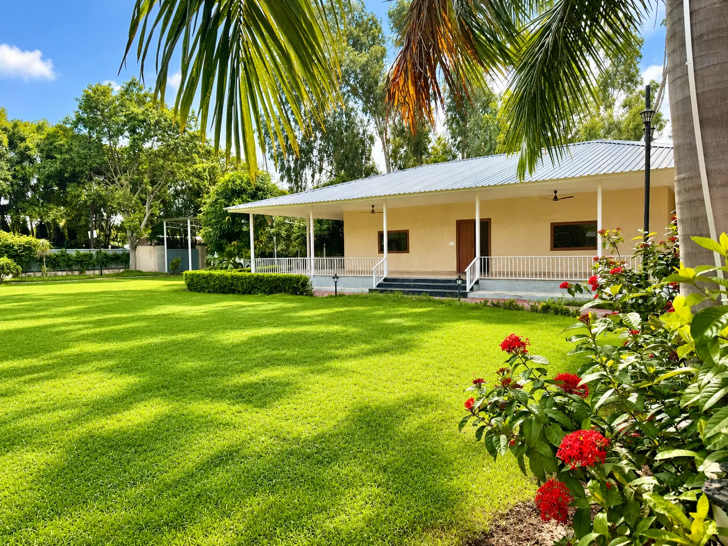 The full width of the lawn at Mulberry Farm, lined with royal palms