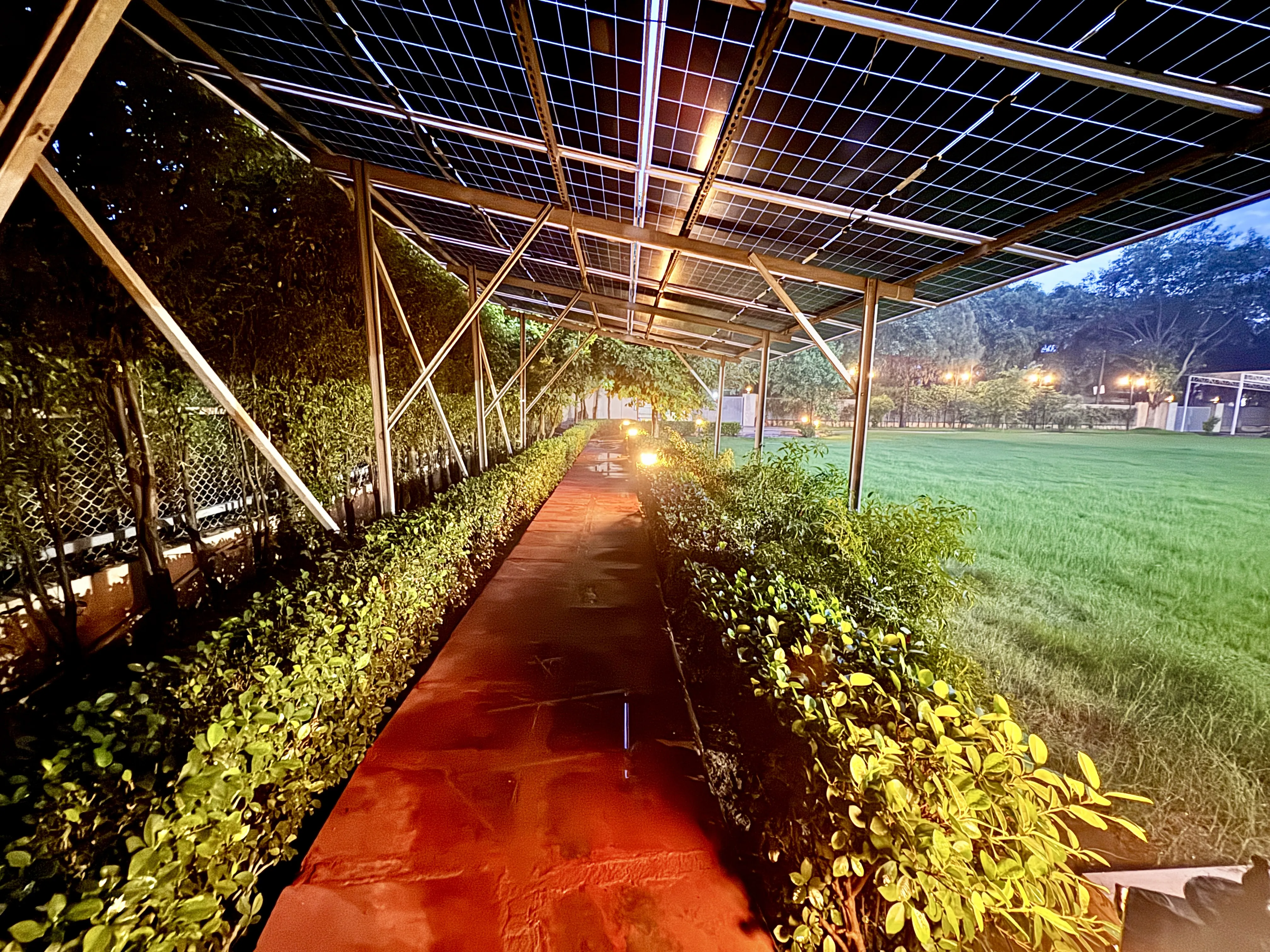 The machan and lawn lit for an evening party at Mulberry Farm, Noida