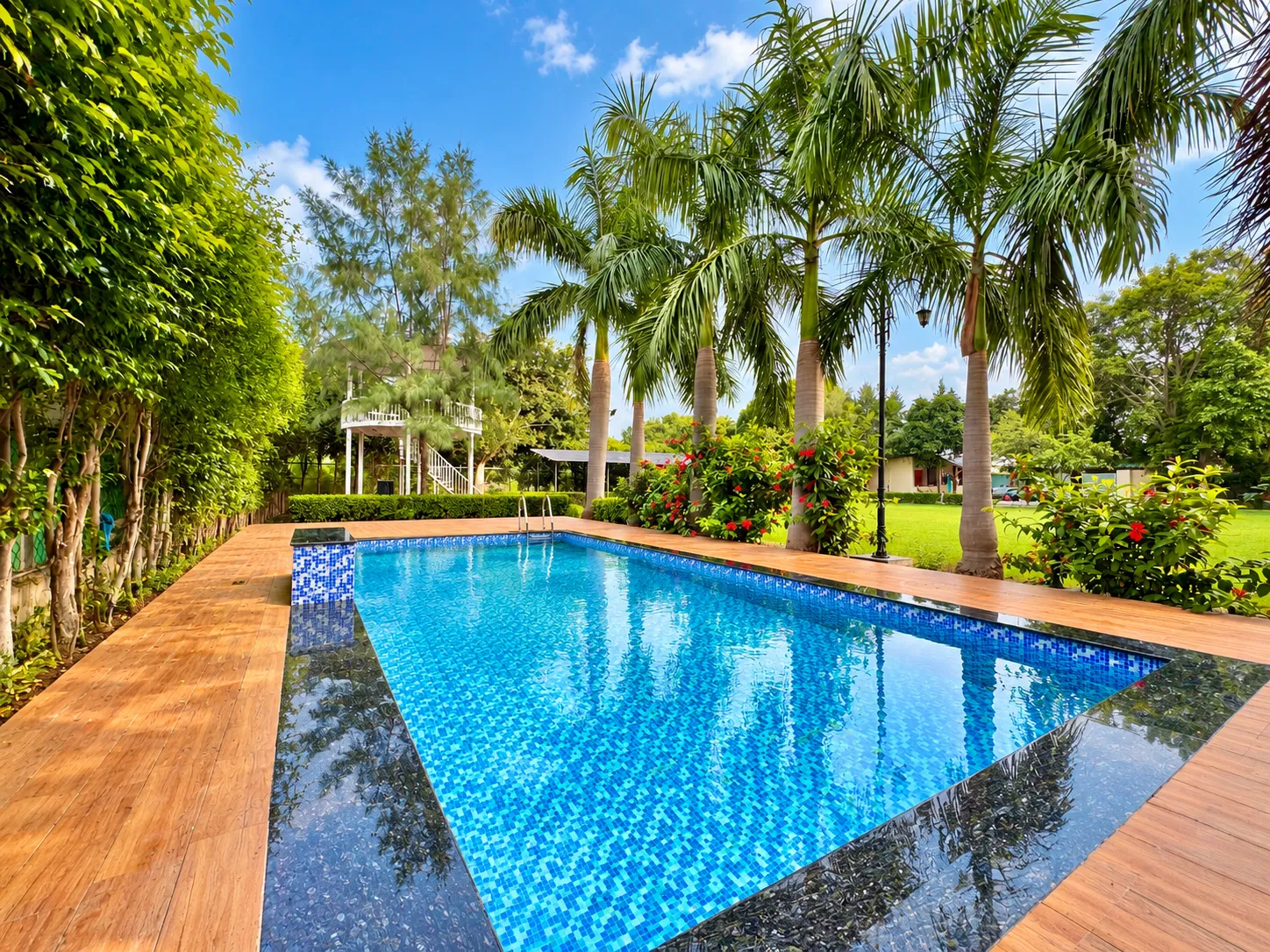 The swimming pool at Mulberry Farm looking towards the machan